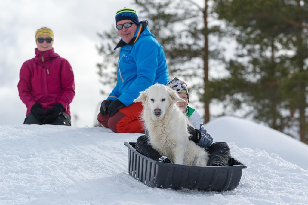 Yllaeksen Yoepuu Villa Äkäslompolo Buitenkant foto