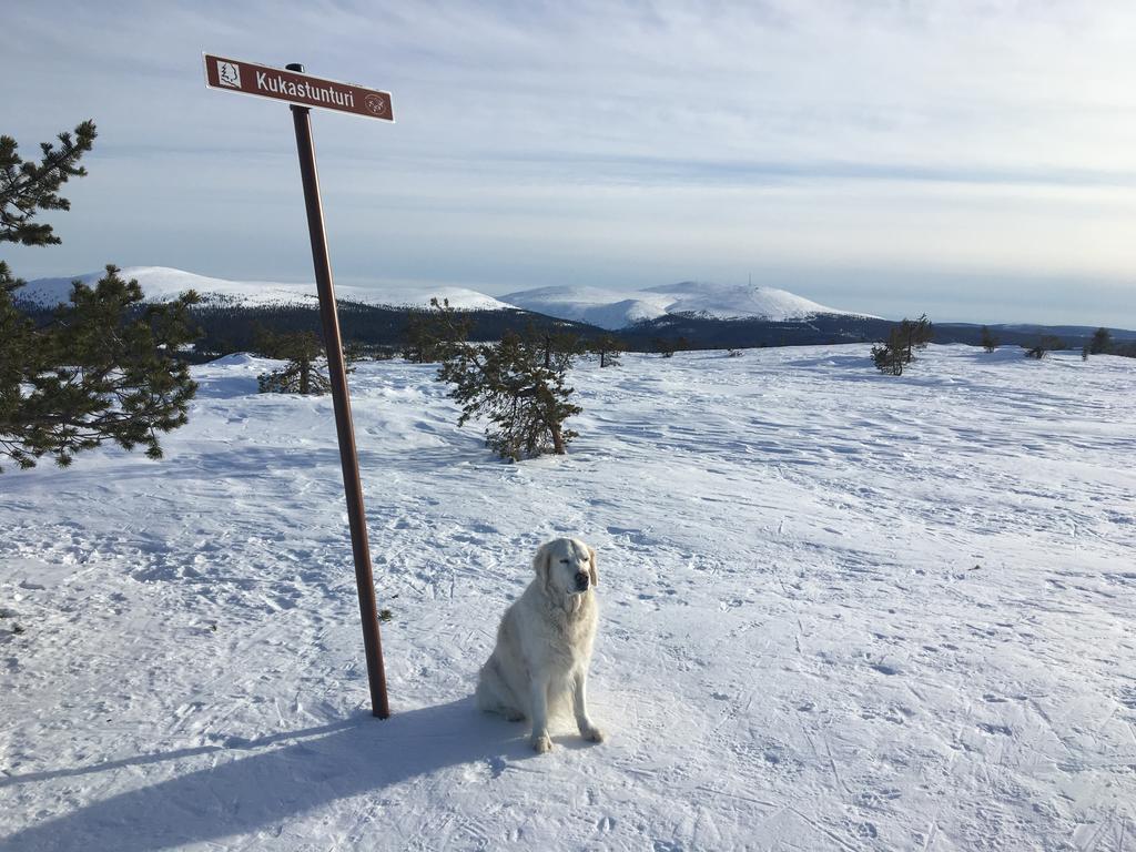 Yllaeksen Yoepuu Villa Äkäslompolo Buitenkant foto
