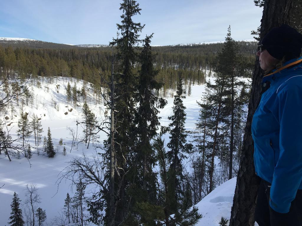 Yllaeksen Yoepuu Villa Äkäslompolo Buitenkant foto