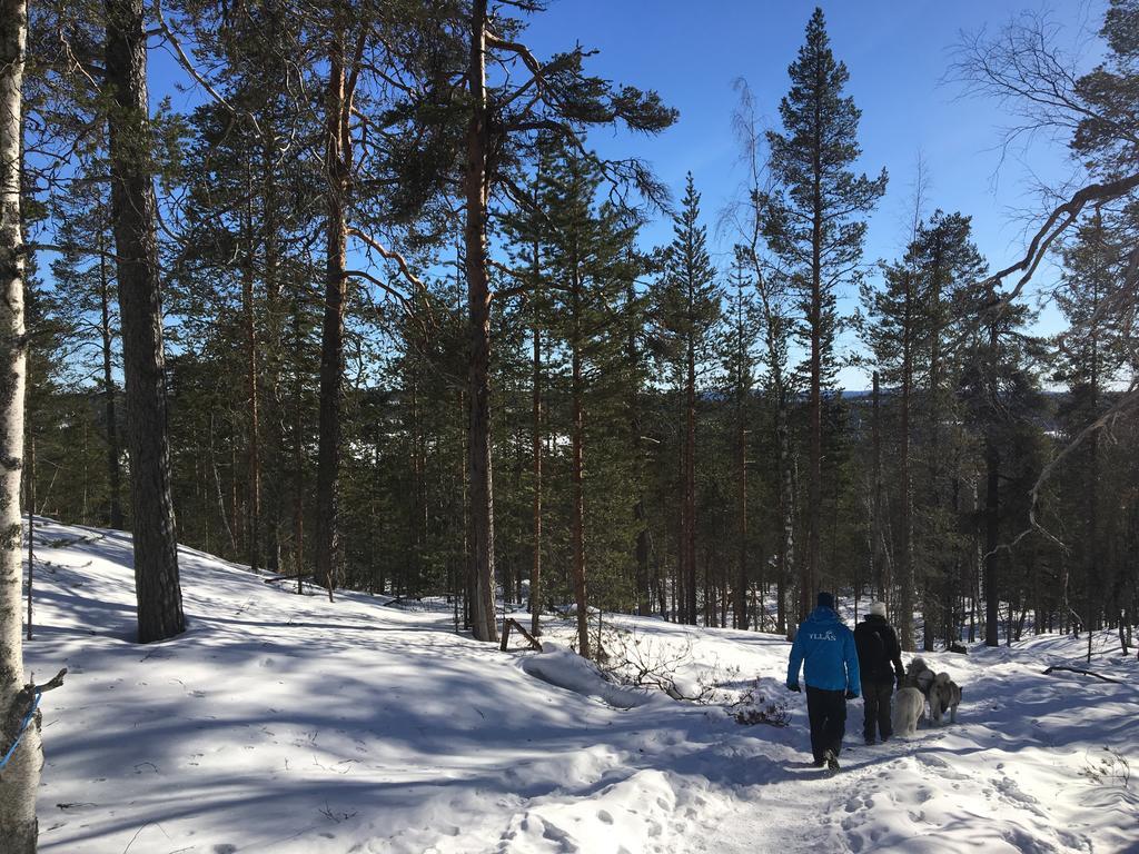 Yllaeksen Yoepuu Villa Äkäslompolo Buitenkant foto